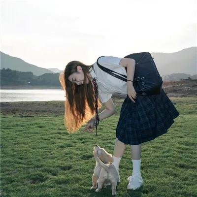 侠盗兄弟